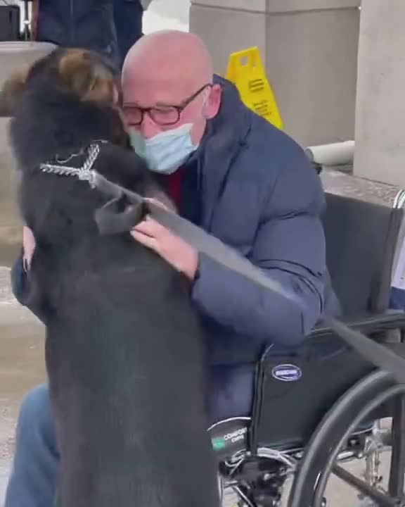 Ein Mann trifft sich mit einem deutschen Schäferhund, der während eines Schlaganfalls „geholfen hat, sein Leben zu retten“