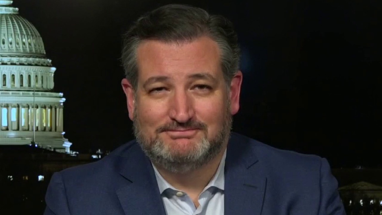 Ted Cruz: Democrats' For the People Act akin to 'universal fraud law'