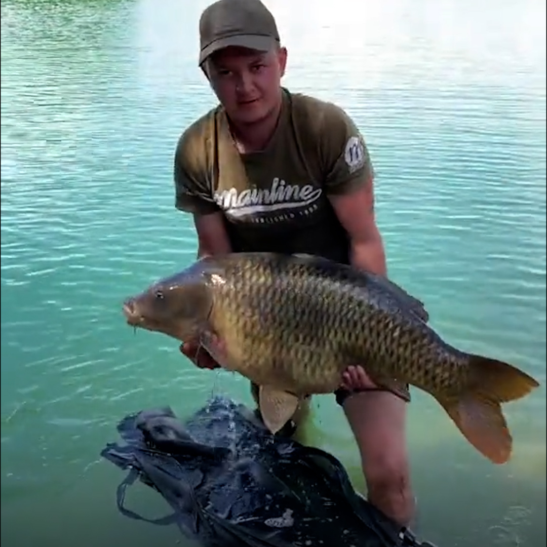 Fishery manager reveals how he takes care of monster-sized fish [Video]