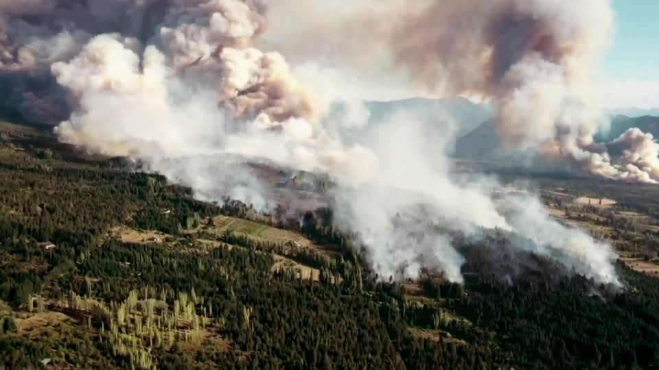 Drone captures Argentina forest fire devastation