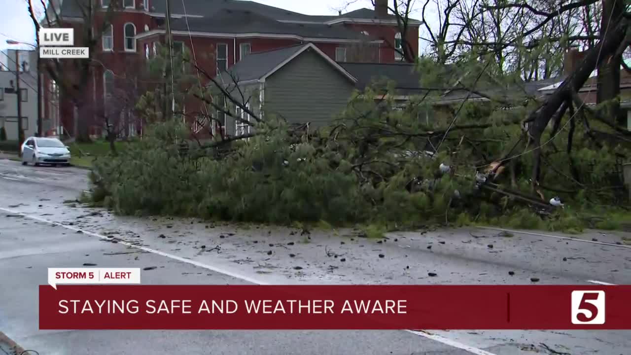 Trees Downed In Chestnut Hill Area Of Nashville During Storm