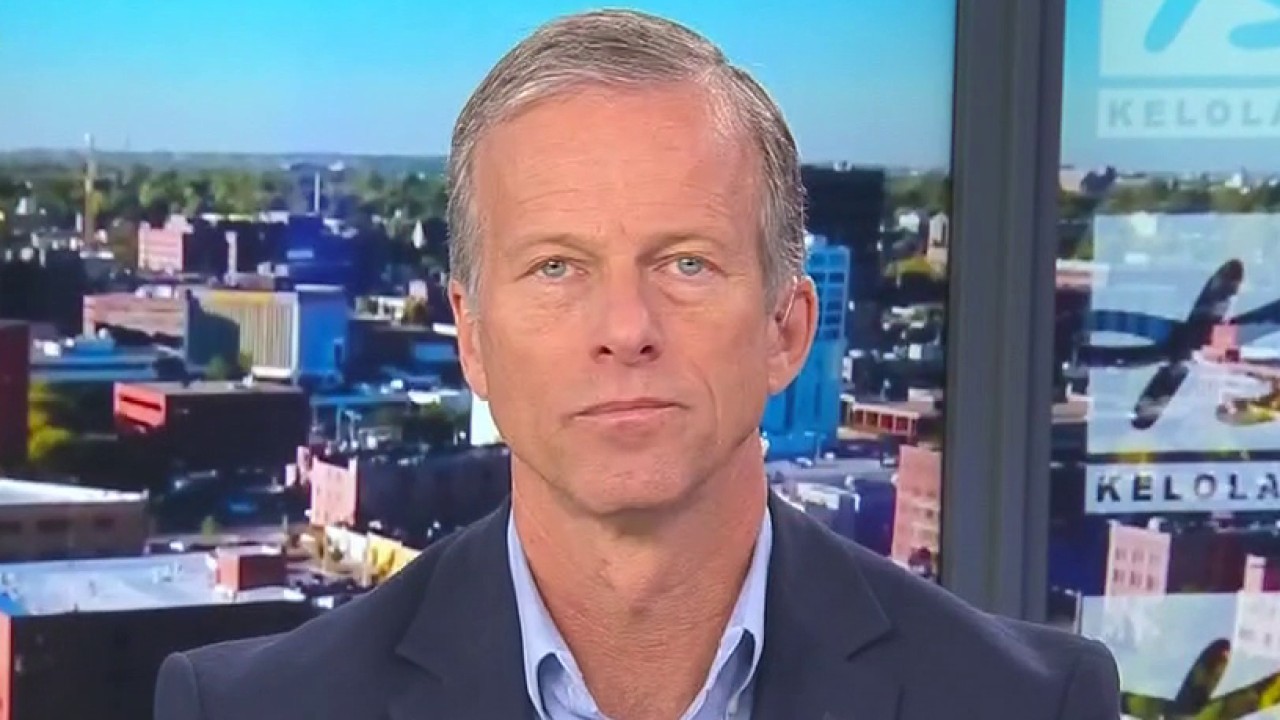 Sen. Thune: 'Bernie Sanders wing of party' is center of gravity in Senate