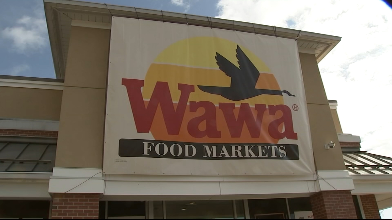 Wawa gif