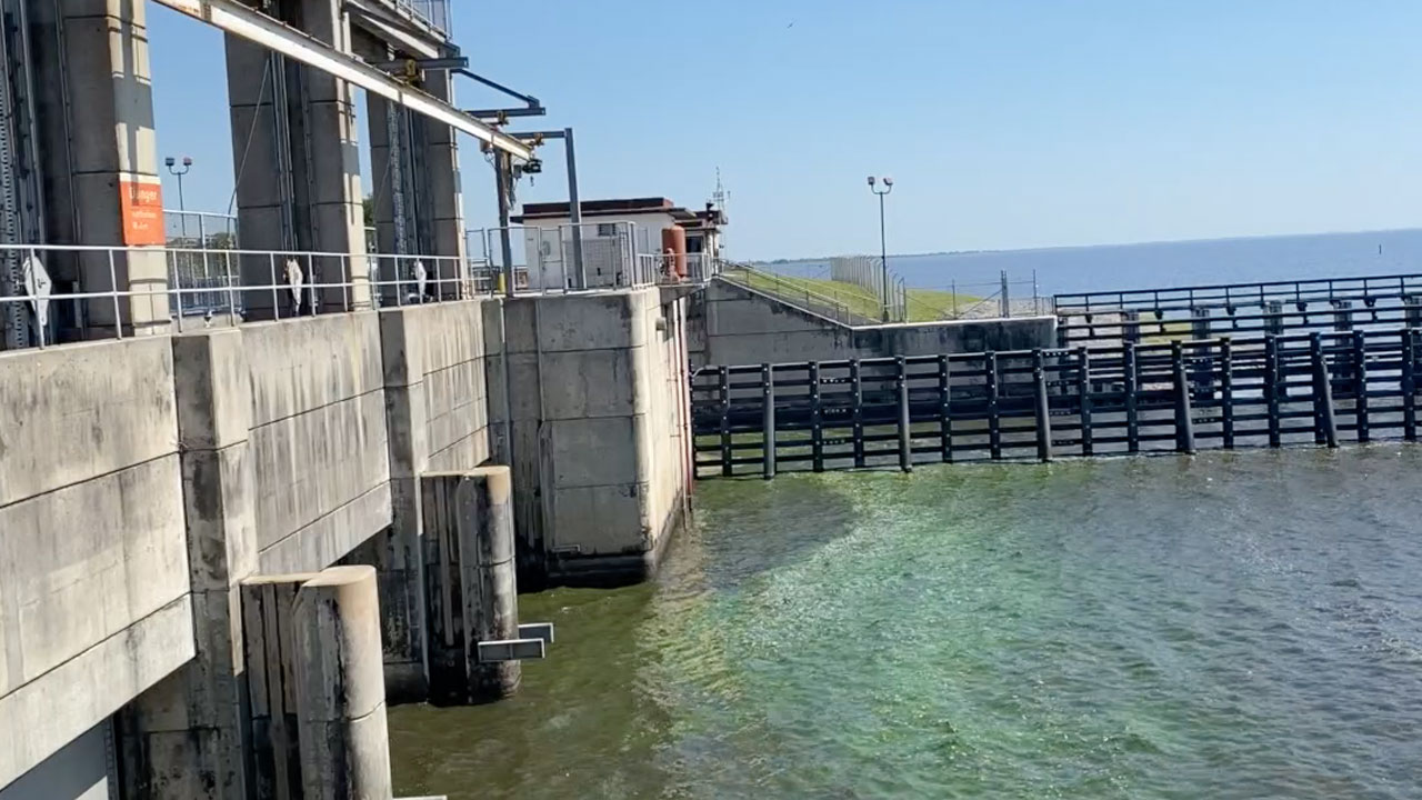 Η συμβουλευτική για την υγεία εκδόθηκε για το Port Mayaca Lock αφού εντοπίστηκαν μπλε-πράσινα φύκια