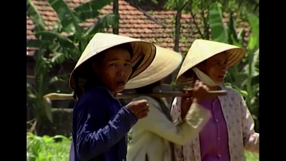 French Court Rejects Agent Orange Damage Claim