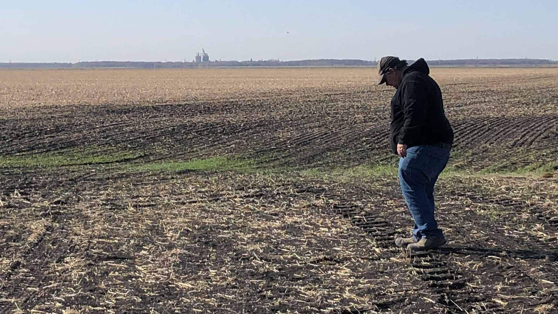 Extreme drought in Canadian Prairies causes rough start to growing season