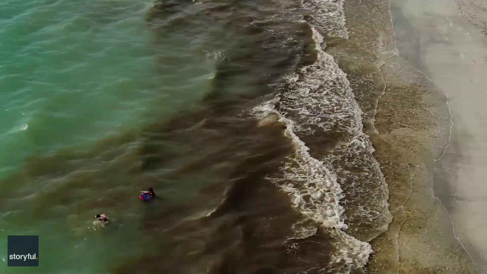 Drone Footage Shows Algal Bloom Off Florida Coast