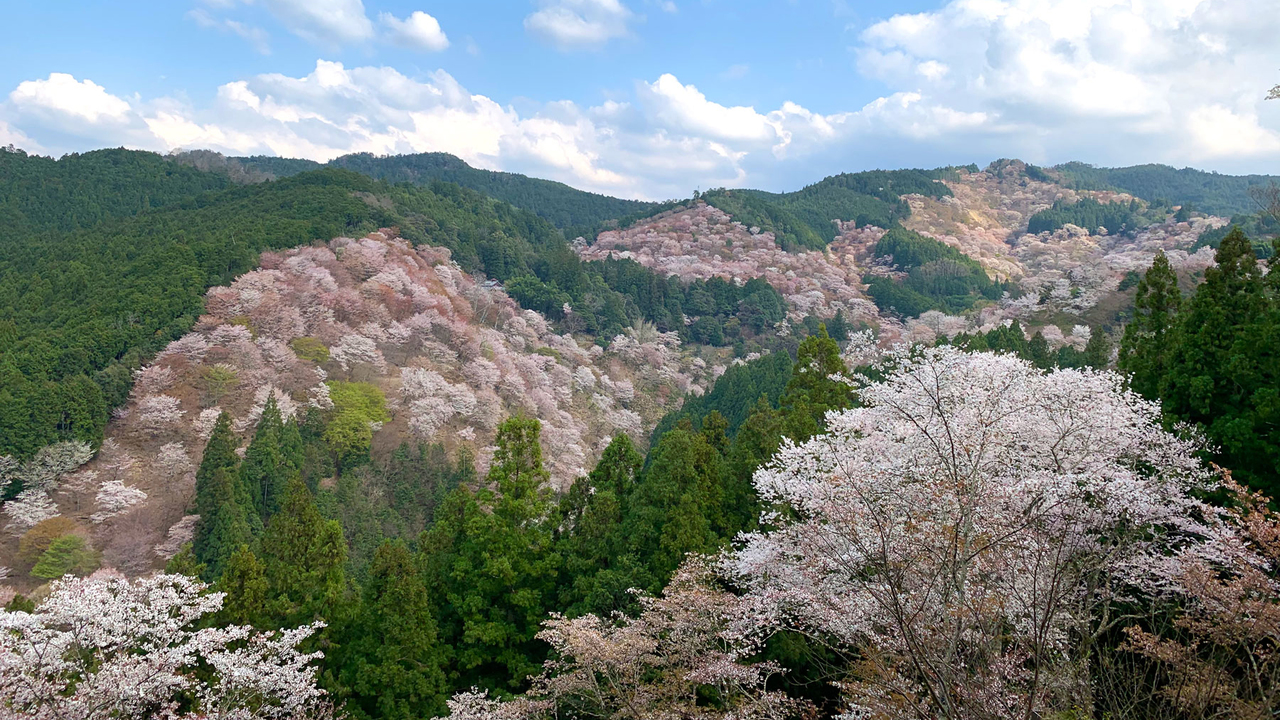 Locals in Japan Capture the Country's Most Beautiful Attractions