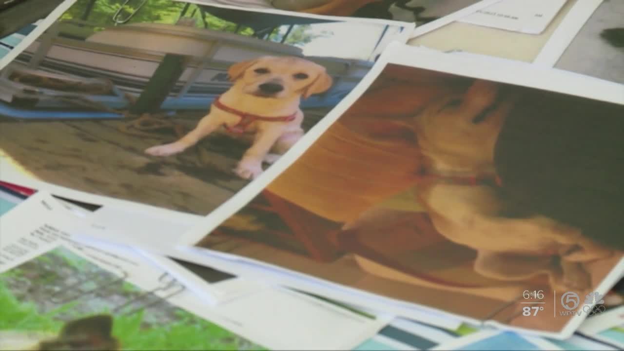 Palm Beach County Animal Rescue Founder Fighting For Her Life Seeks Help From Community