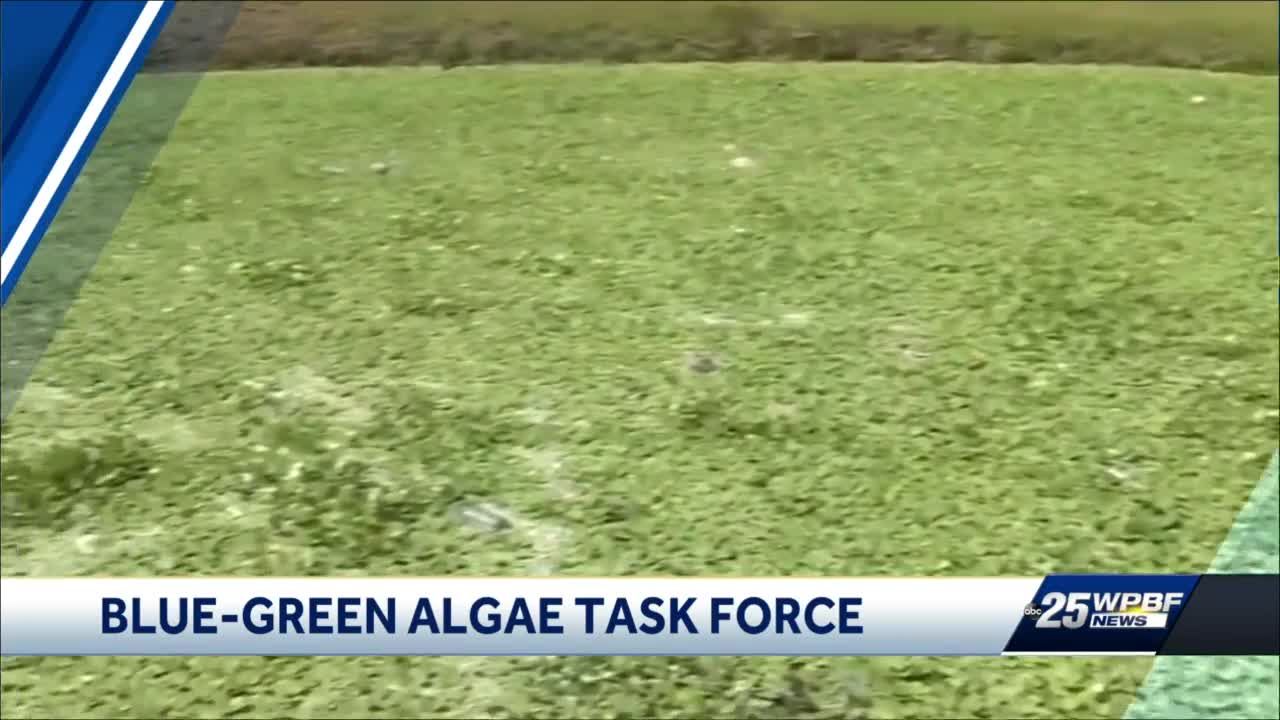Blue-Green Algae Task Force discusses drinking water contamination, health alerts