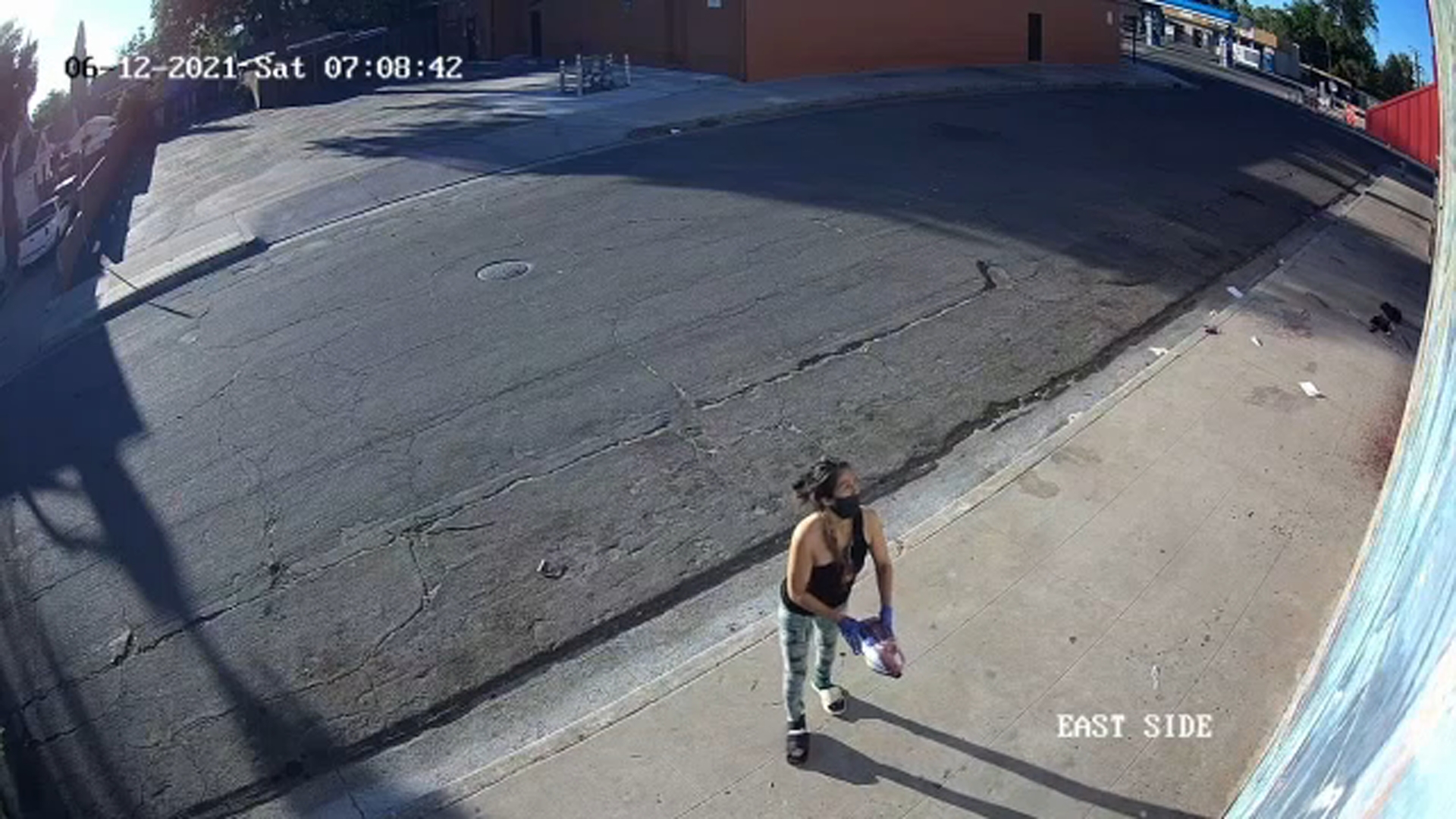 Police searching for central Fresno vandalism suspect