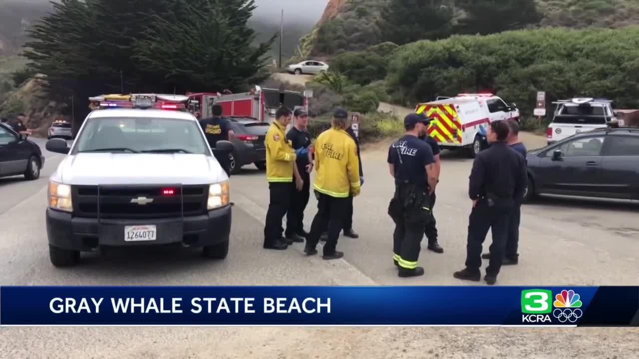 Shark bites swimmer off Northern California beach