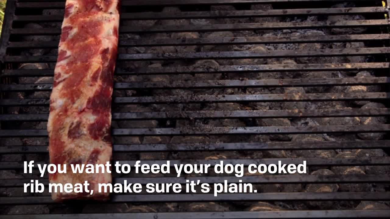 are cooked pork ribs safe for dogs