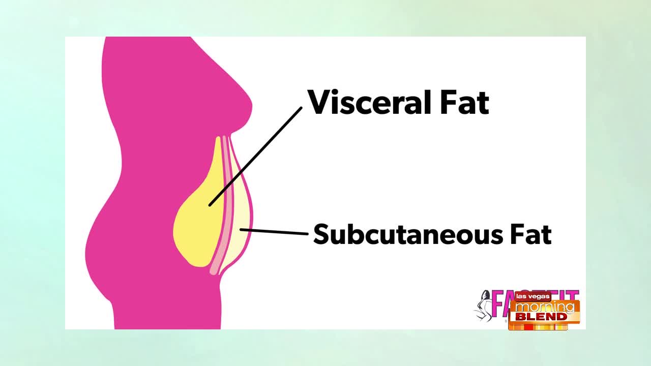 Why Visceral Fat Could Be The Reason Behind Your Weight Problems 4097