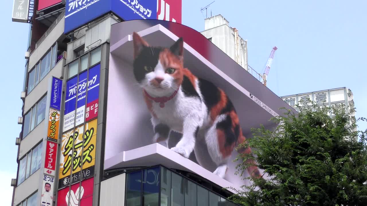 Where To Find Tokyo's Internet-Famous 3D Billboards