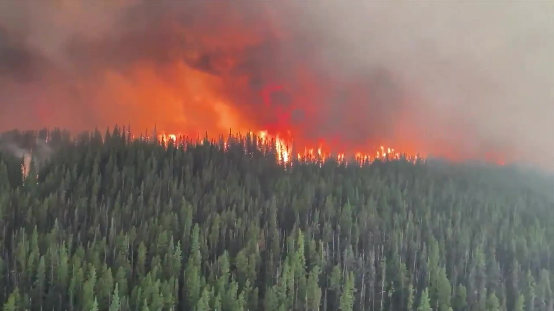 Cutoff Creek Fire 'Out of Control', BC Firefighters Say