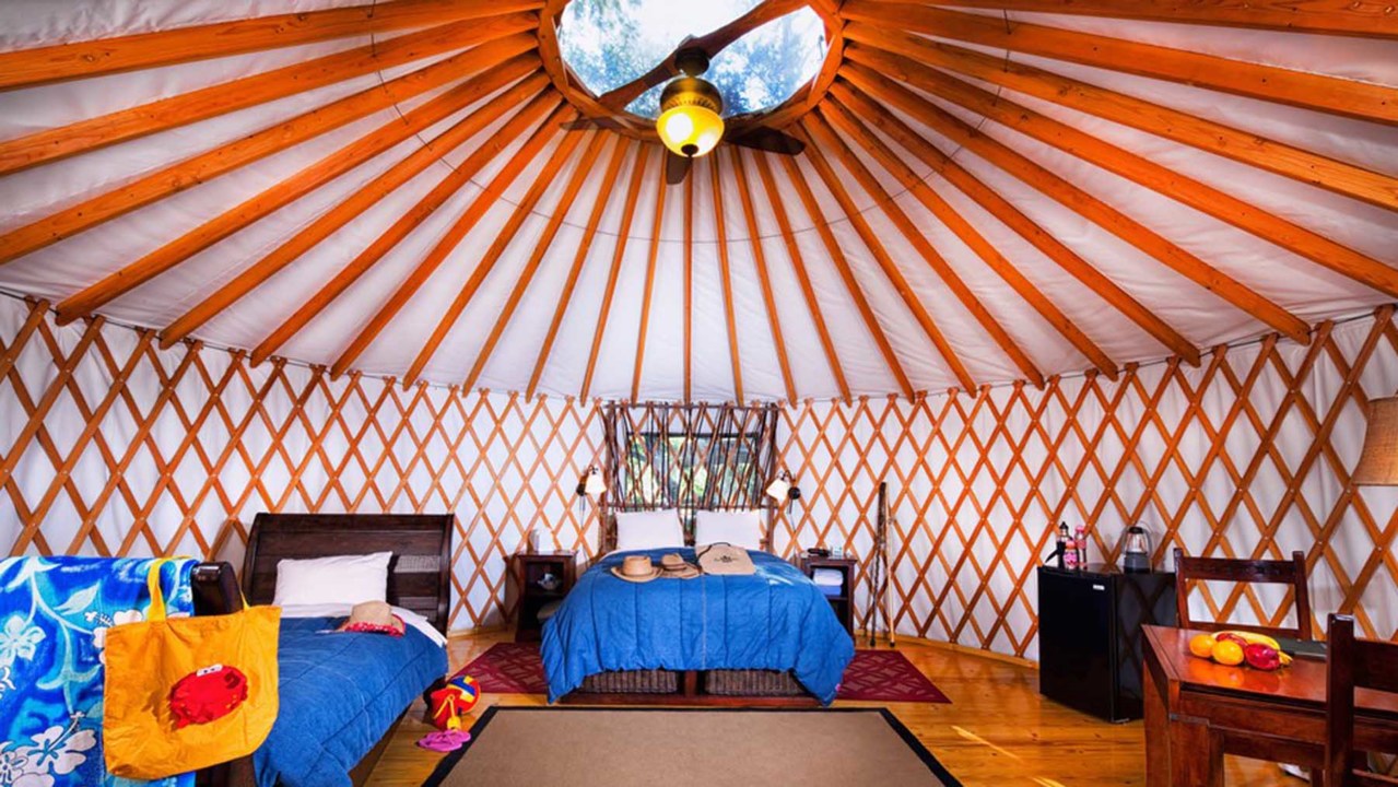 Yurt On! - Slifer Designs