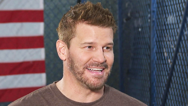 19 Actor David Boreanaz Visits The Nhl Powered By Reebok Store