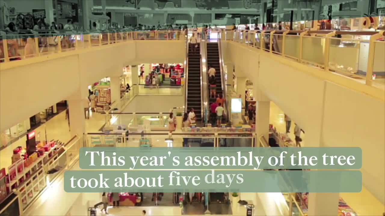 Nation's Tallest Indoor Christmas Tree Takes Root In A Dallas Shopping Mall