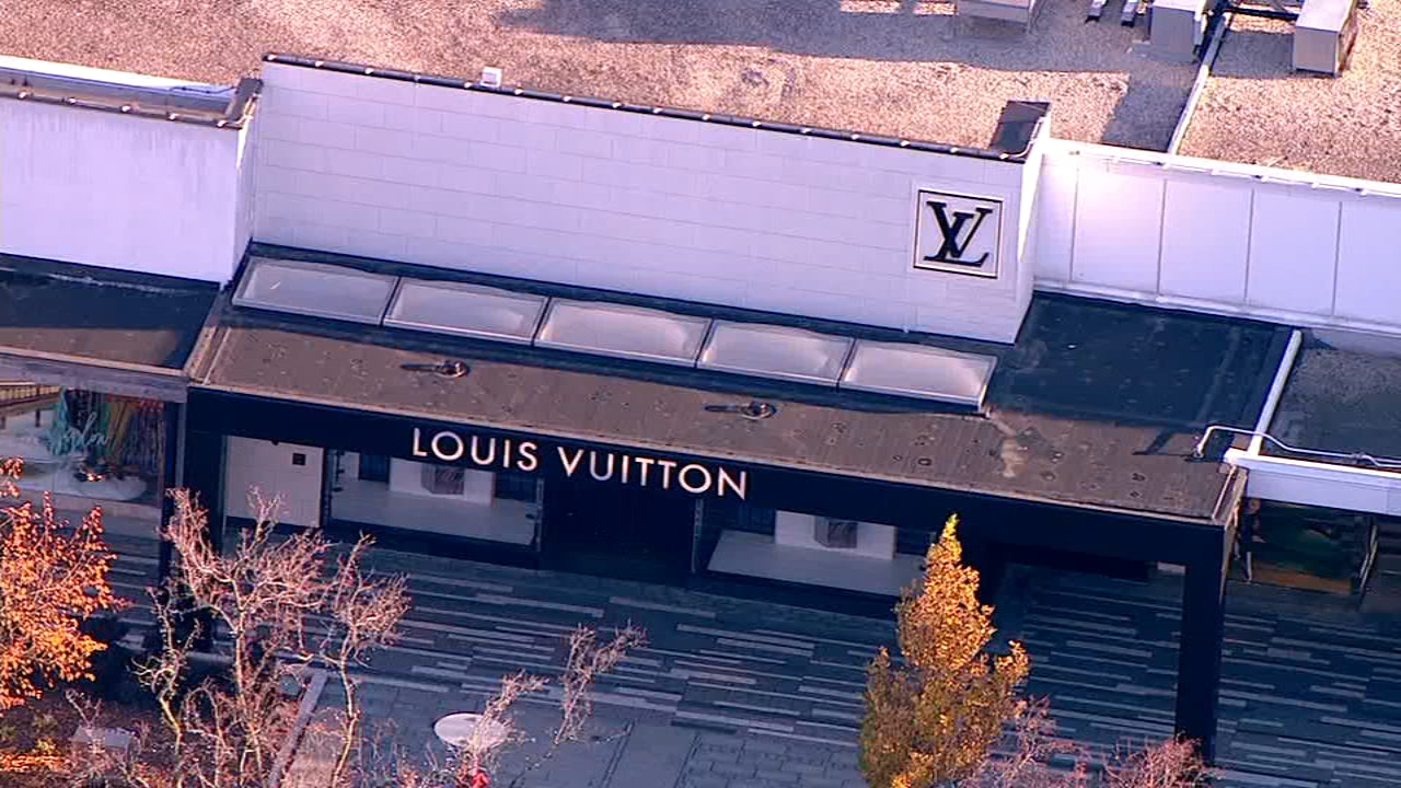 Thieves steal from Oak Brook Louis Vuitton, 14 suspects flee scene