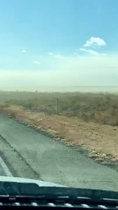 Everything Las Cruces, NM - Biggest Tumbleweed EVER??!? This picture was  taken off Valley Drive heading North towards Radium Springs.