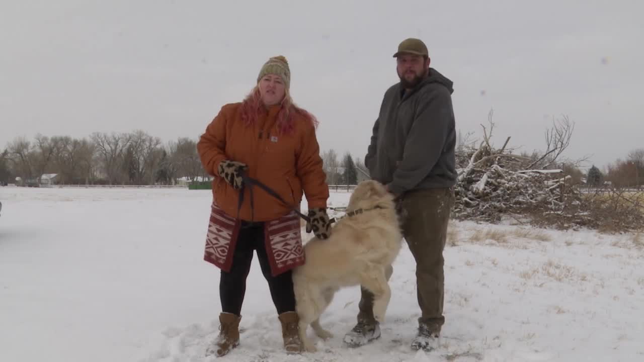 Dog Rescued From Icy River In Fort Benton