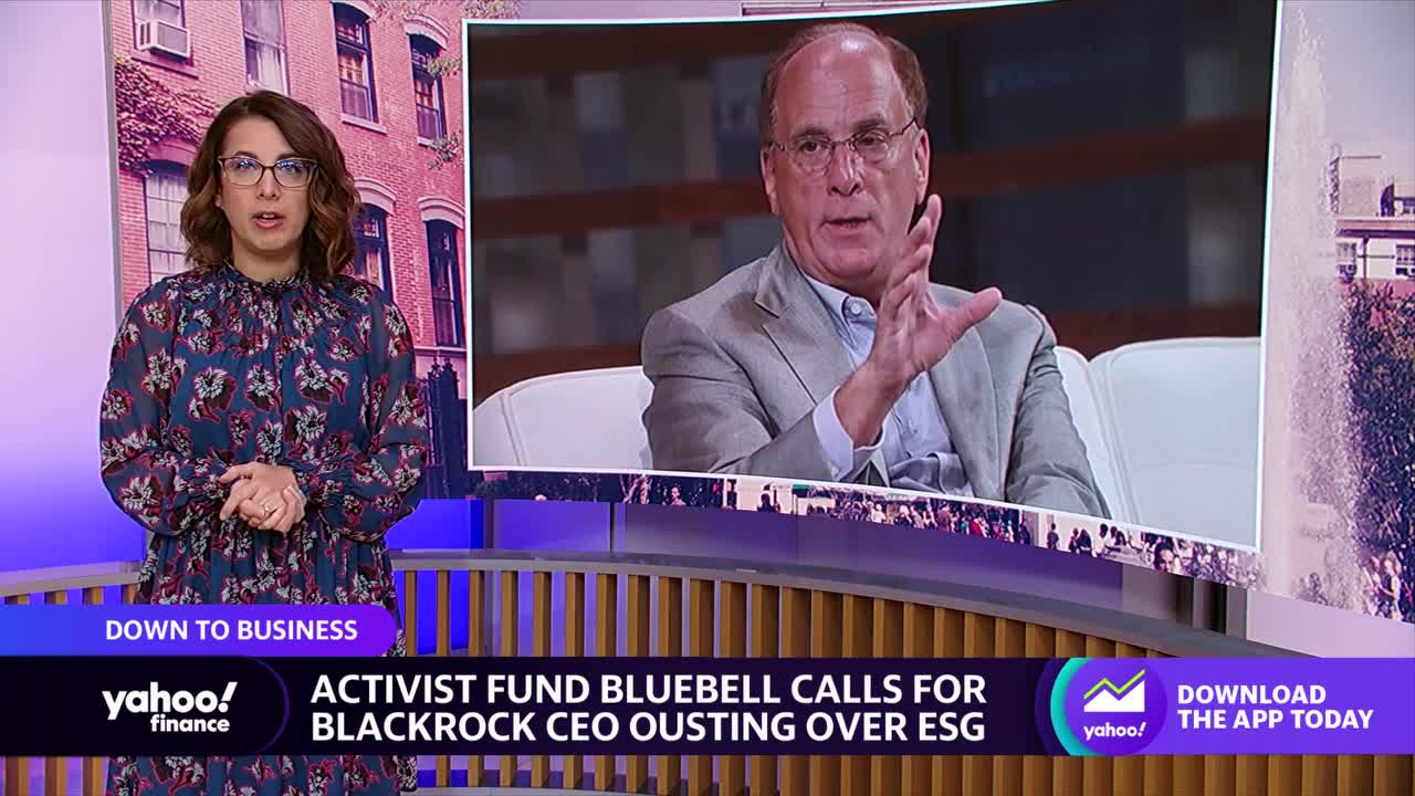 Activist Bluebell Urges BlackRock to Oust Fink as CEO Over ESG