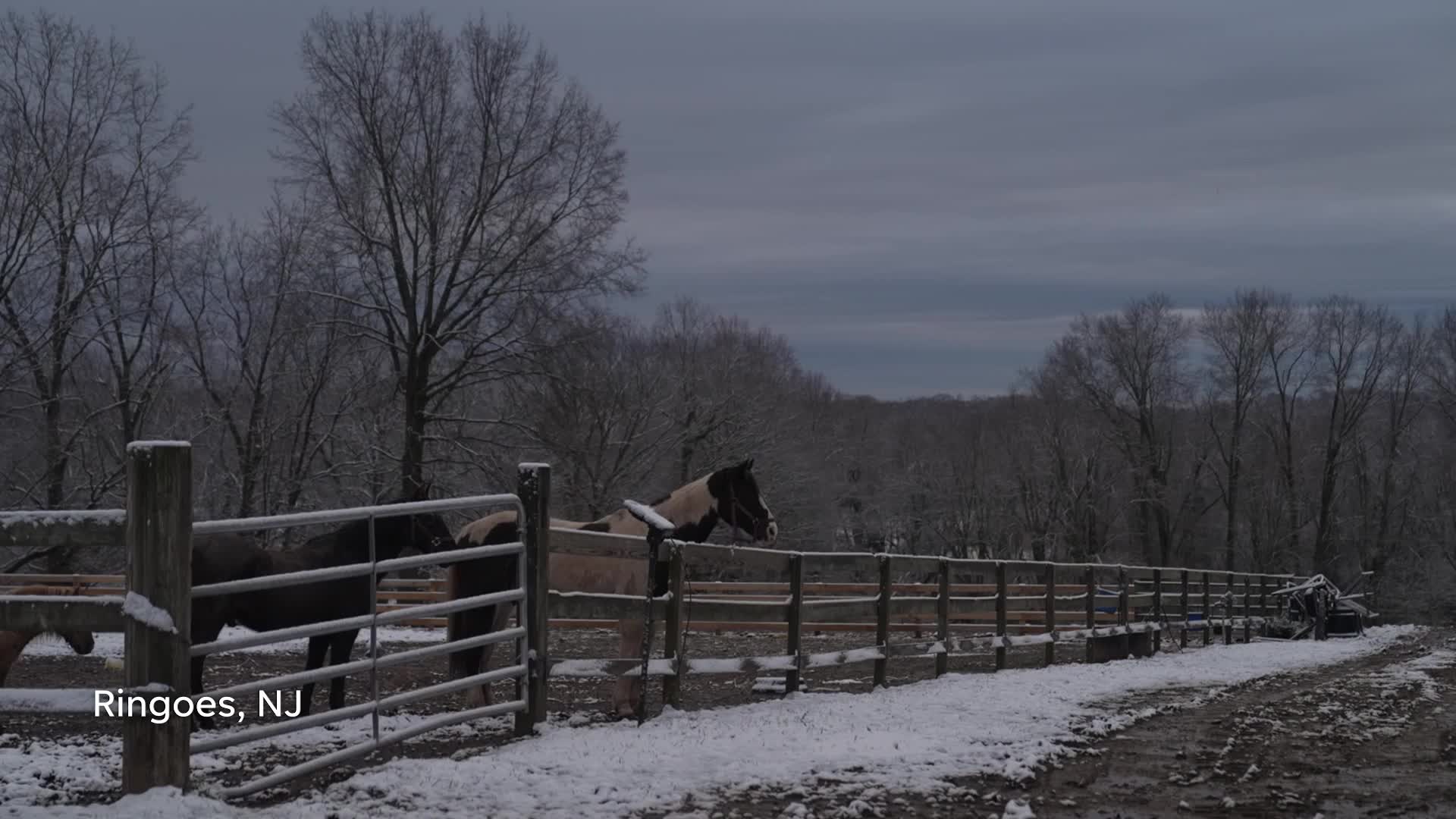 Black Cowboys Ride the New Jersey Range 