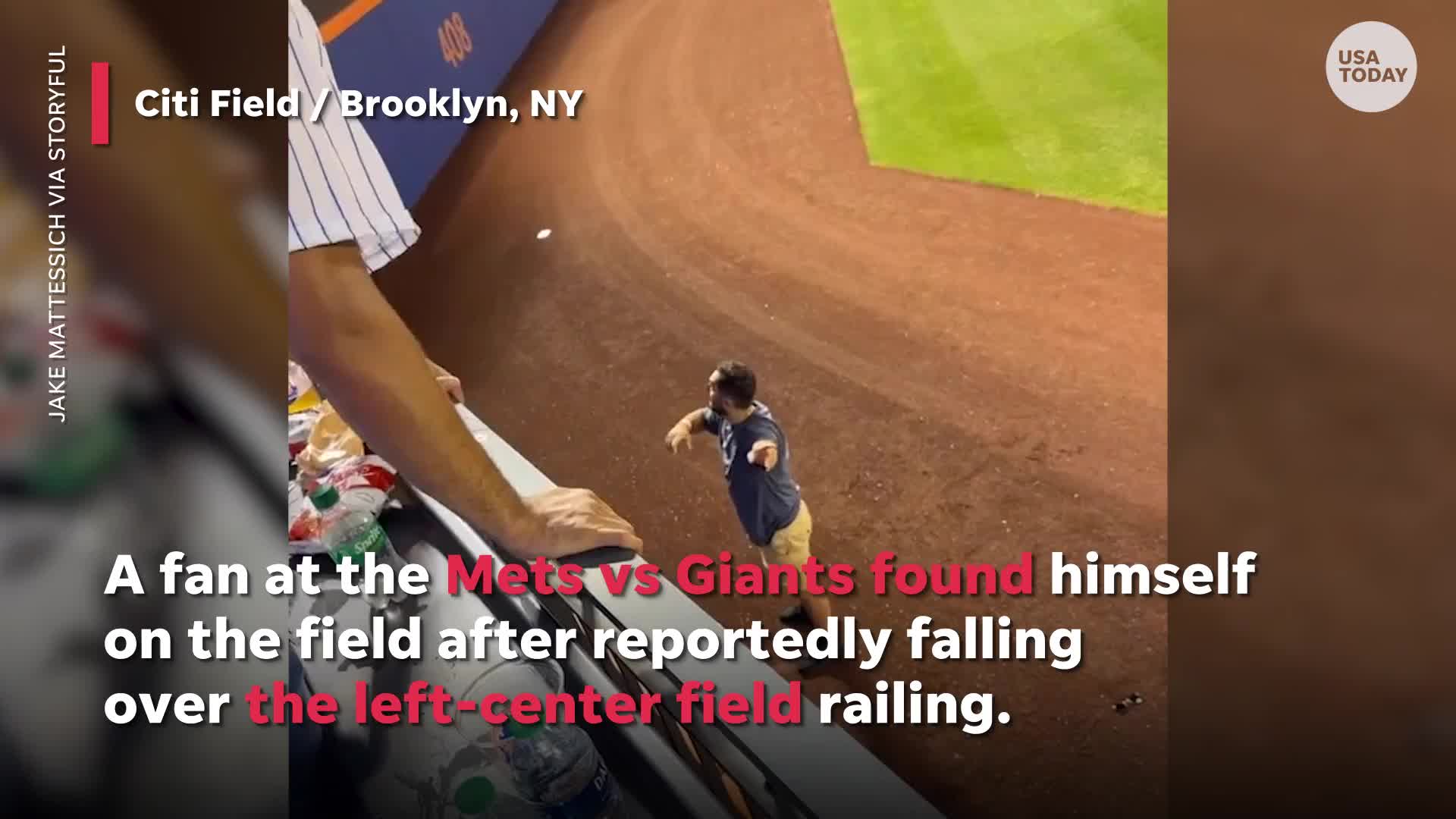 Baseball fan falls onto Citi Field during Mets vs. Giants game