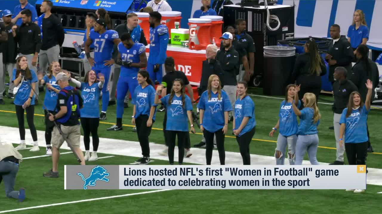 Detroit Lions Pink Football Sports Team 1 Female Dog 