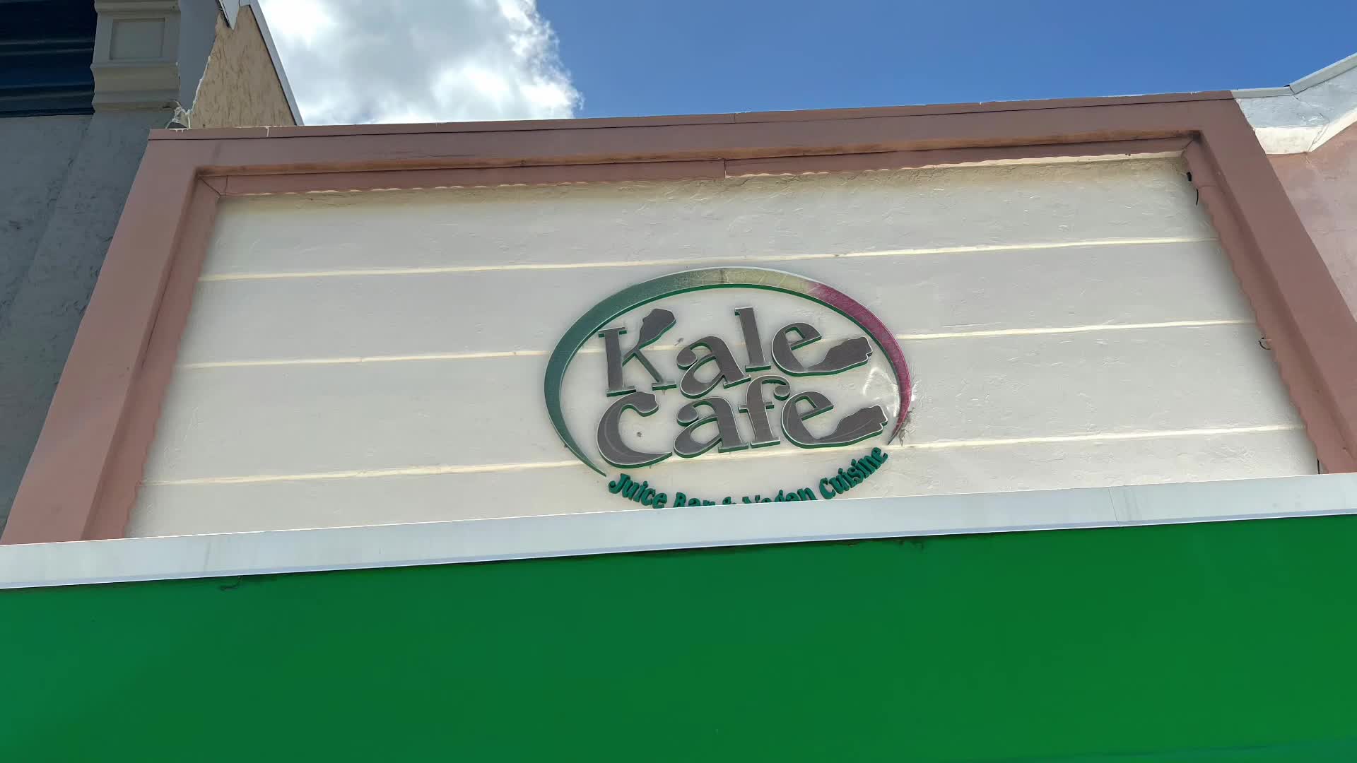 Owners of Kale Cafe Juice Bar & Vegan Cuisine educates community on healthy  eating