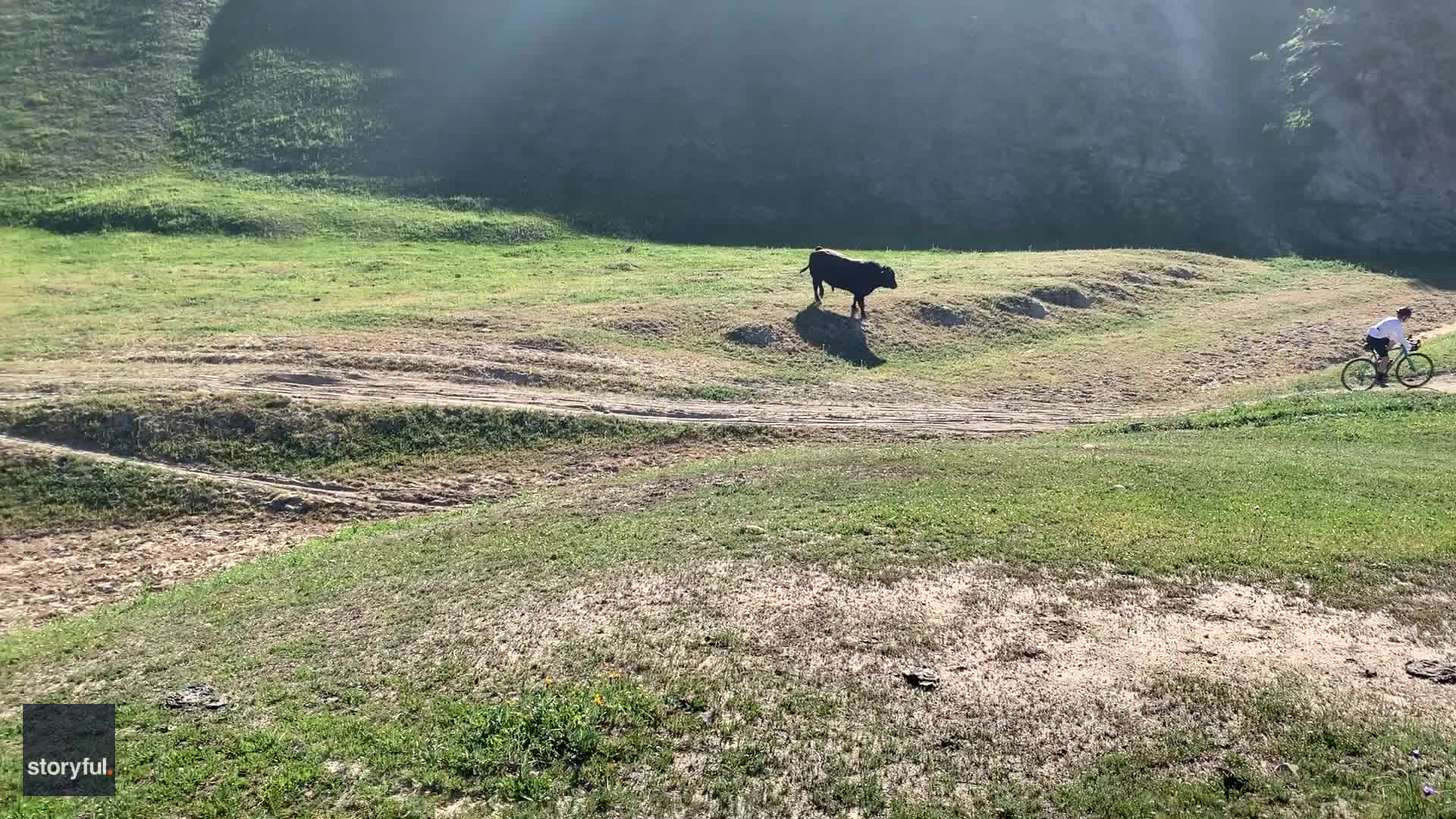 Bull Attacks Cyclists During California Gravel Race