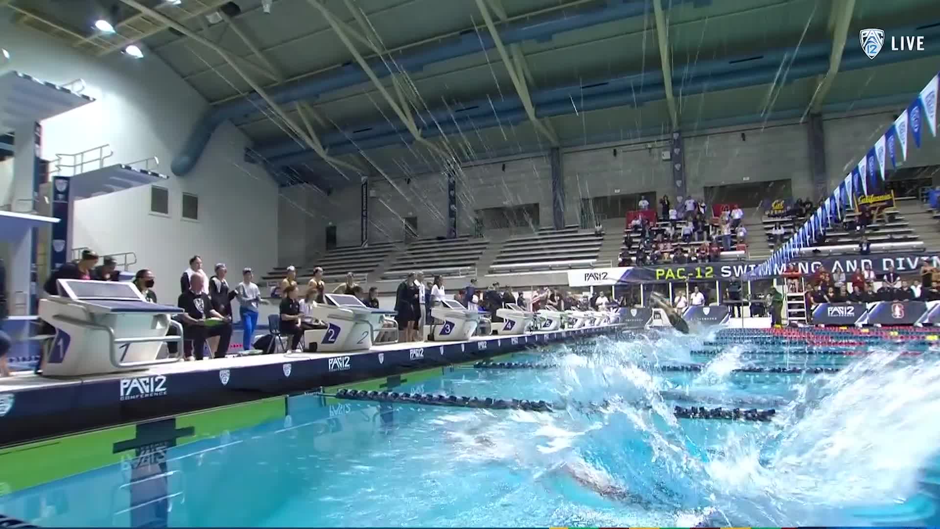 pac 12 swimming live stream