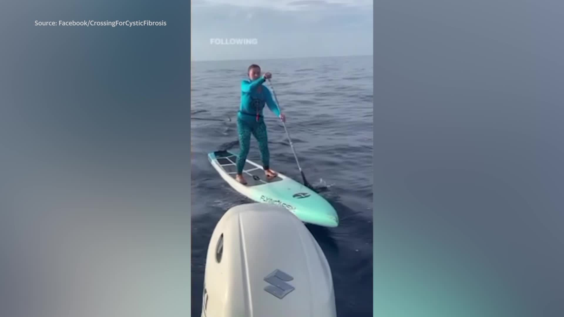 Video of paddleboarder's close encounter with great hammerhead shark