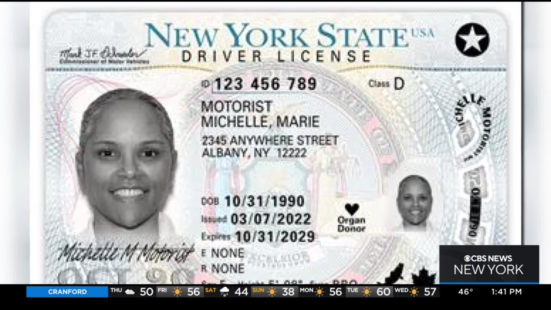 new york license 2022