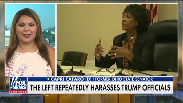 Maxine Waters touts harassment of Trump officials