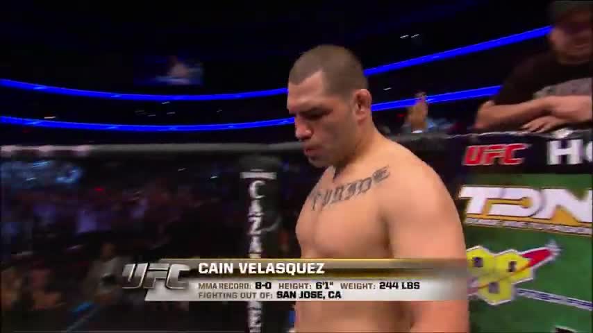 cain velasquez vs brock lesnar after fight