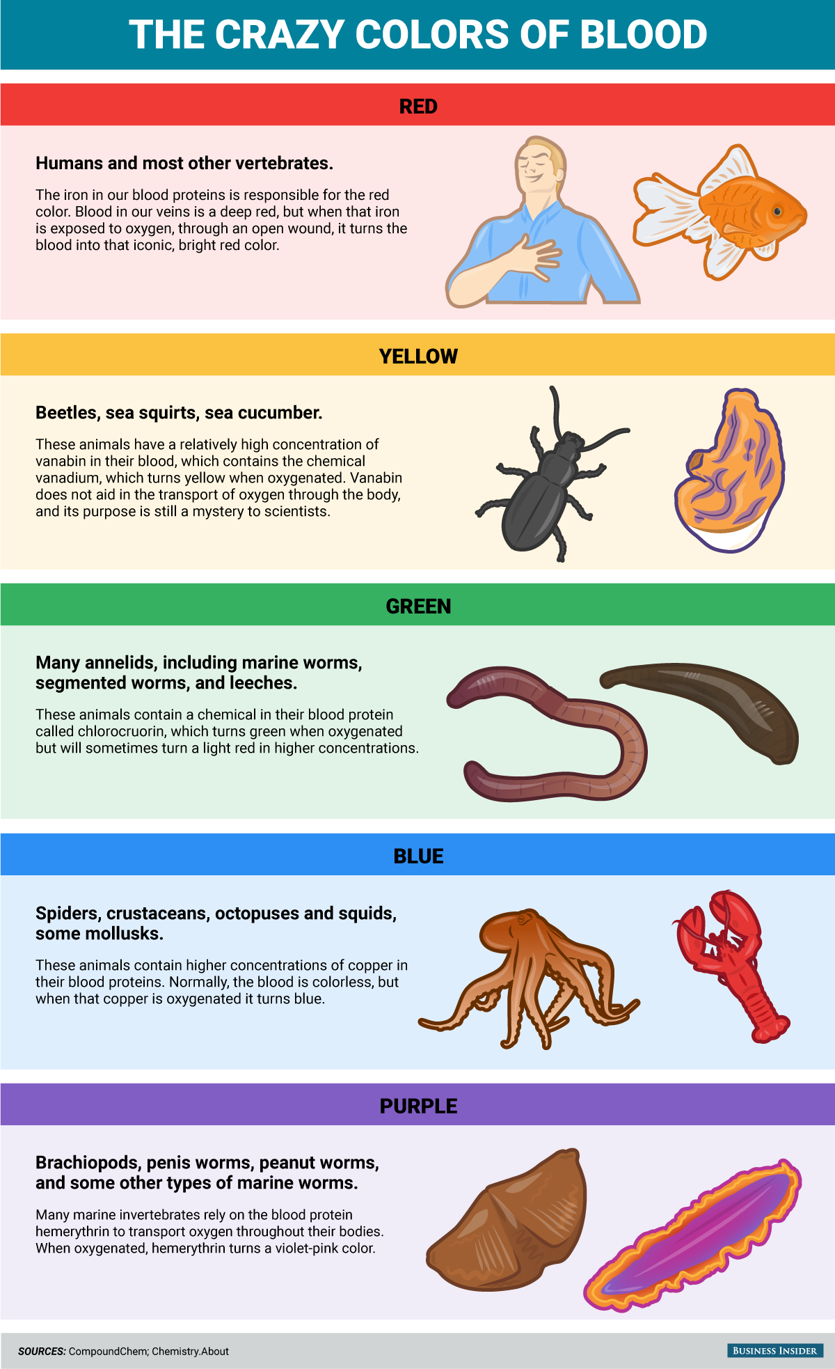 animal-blood-comes-in-5-crazy-colors-but-you-have-to-do-something