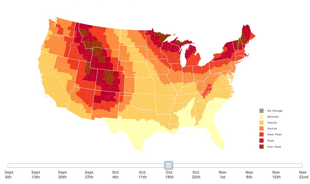 Map Shows When Each State Will Reach 'Peak' Fall Foliage