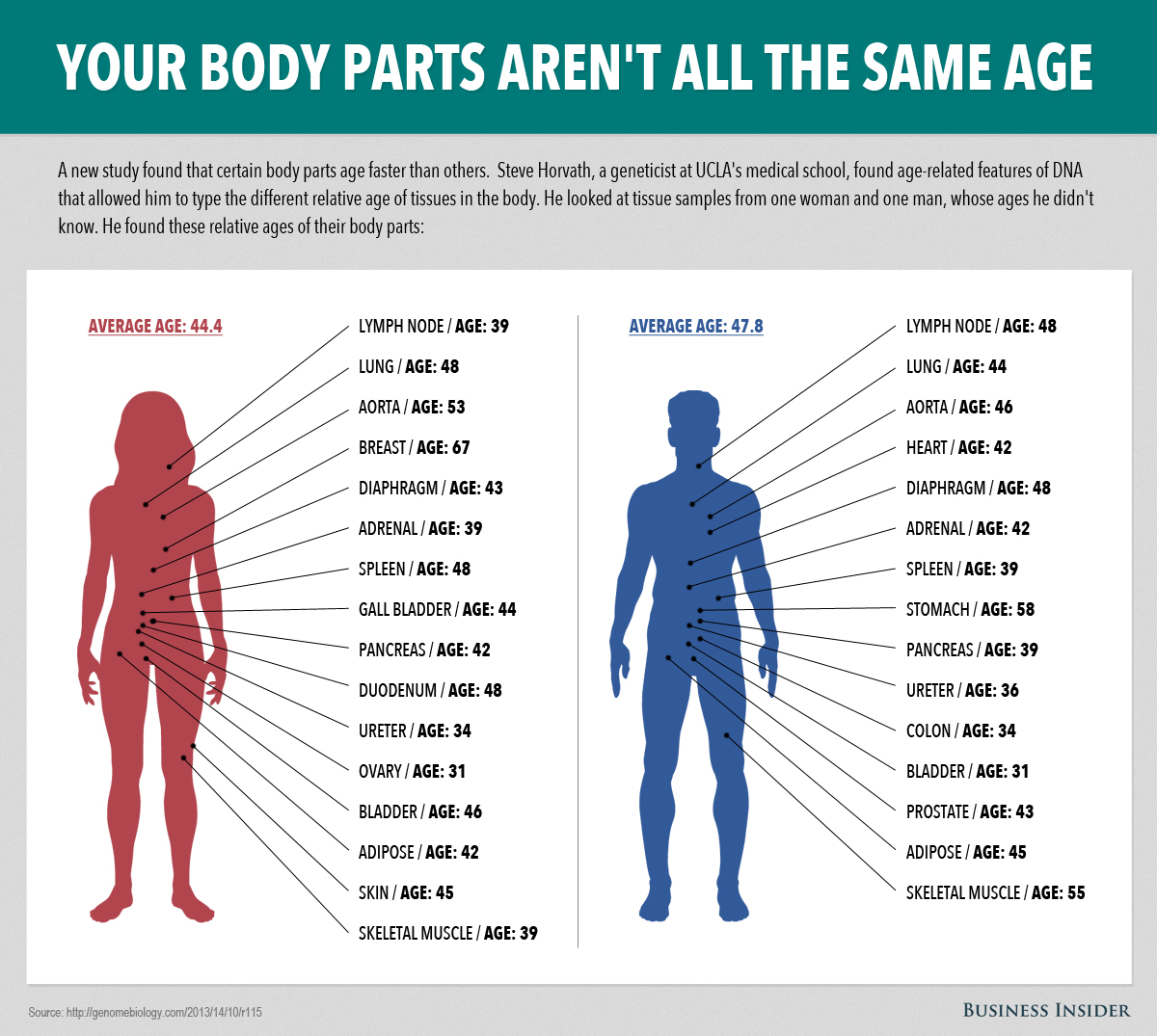 Some Parts Of Your Body Age Faster Than Others