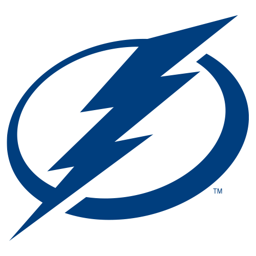 Men's Blue Tampa Bay Lightning Team Logo T-Shirt 