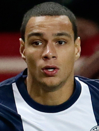 Gregory van der Wiel