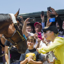 FILE - In this June 18, 2015, file photo, fans take photos and greet Triple Crown winner American Pharoah after the horse arrived at Santa Anita Park in Arcadia, Calif. Since American Pharoah completed his sweep of the Kentucky Derby, Preakness and Belmont Stakes, the past few weeks have turned into a whirlwind of appearances, events and parties around the country for owner Ahmed Zayat, trainer Bob Baffert and jockey Victor Espinoza. American Pharoah, too. (AP Photo/Ringo H.W. Chiu, File)