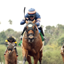 In a photo provided by Benoit Photo, Sunday Rules and jockey Tyler Baze win the $150,000 Spring Fever Stakes horse race, Saturday, May 23, 2015 ,at Santa Anita in Arcadia, Calif. (Benoit Photo via AP)