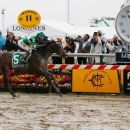 May 21, 2016; Baltimore, MD, USA; Kent Desormeaux aboard Exaggerator (5) wins the 141st running of the Preakness Stakes at Pimlico Race Course. Mandatory Credit: Amber Searls-USA TODAY Sports