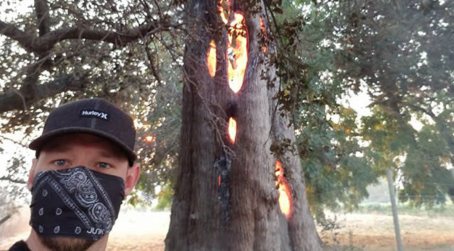 Man Films Tree Burning From Inside Out In California Wildfires 