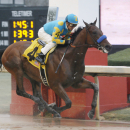 American Pharoah and jockey Victor Espinoza (4) win the $750,000 Rebel Stakes horse race at Oaklawn Park in Hot Springs, Ark., Saturday, March 14, 2015. (AP Photo/Danny Johnston)