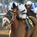 In this photo provided by Benoit Photo, Warren's Veneda and jockey Tyler Baze win the Grade II, $200,000 Santa Maria Stakes, Saturday, Feb. 14, 2015 at Santa Anita Park, Arcadia, Calif. (AP Photo/Benoit Photo)