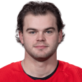 Alex DeBrincat headshot