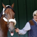 May 13, 2015; Baltimore, MD, USA; Horse trainer Bob Baffert walks American Pharaoh inside the Preakness Barn after arriving for the 140th Preakness Stakes at Pimlico Race Course. Mandatory Credit: Geoff Burke-USA TODAY Sports